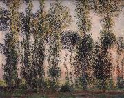 Claude Monet Poplars at Giverny oil painting picture wholesale